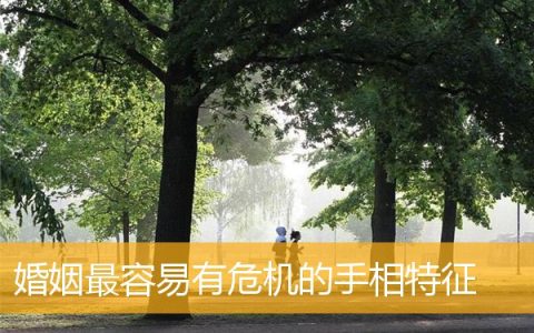 婚姻最容易有危机的手相特征