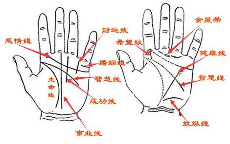 手相怎么看爱情，哪种手相的人不懂浪漫？