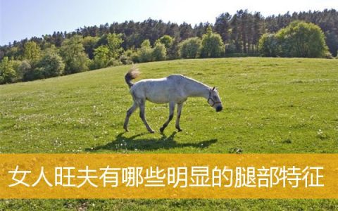 女人旺夫有哪些明显的腿部特征