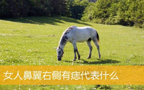 女人鼻翼右侧有痣代表什么