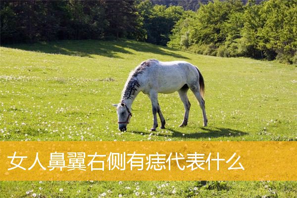 女人鼻翼右侧有痣代表什么