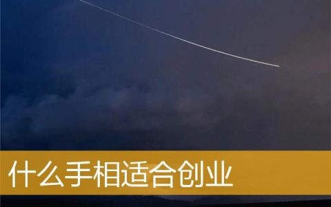 什么手相适合创业