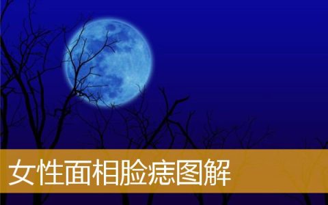 女性面相脸痣图解
