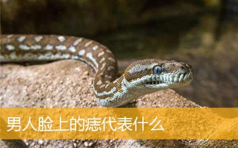 男人脸上的痣代表什么