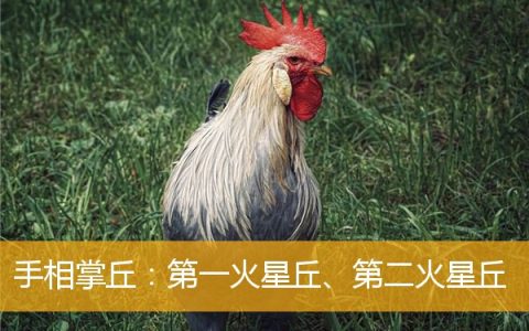 手相掌丘：第一火星丘、第二火星丘
