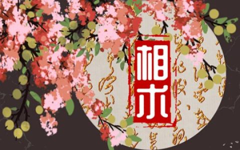 旺夫旺自己的女人面相 田字脸鼻子高挺一生福报