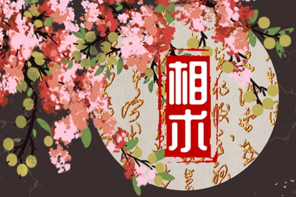 旺夫旺自己的女人面相 田字脸鼻子高挺一生福报