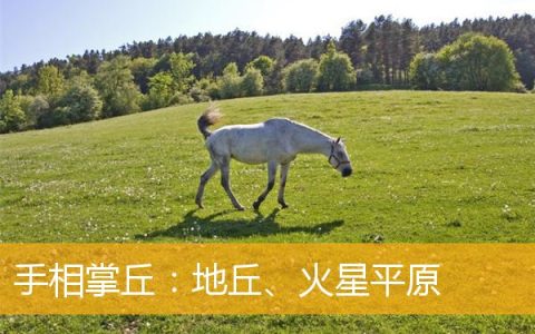 手相掌丘：地丘、火星平原