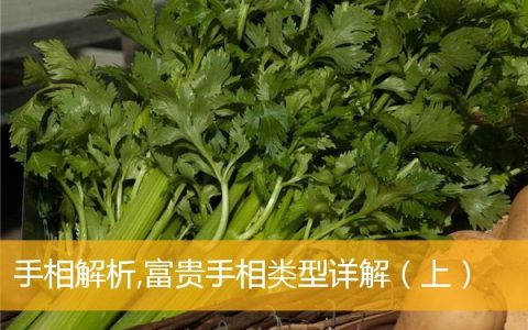 手相解析,富贵手相类型详解（上）