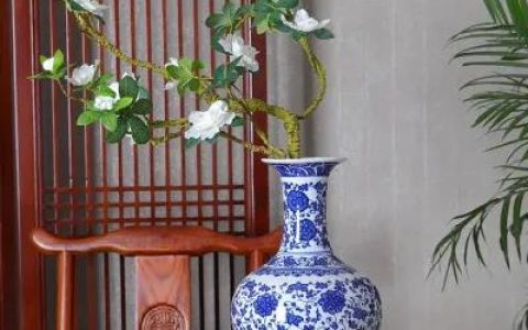 家里如果有空花瓶，一定要放东西进去！