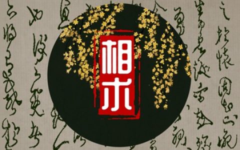 看女人面相 双眉距离大旺夫旺子旺全家