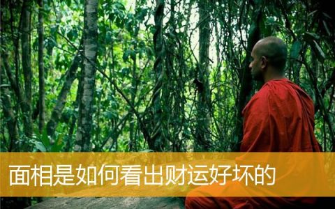 面相是如何看出财运好坏的