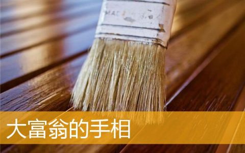 大富翁的手相