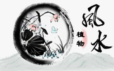 仙人球养在家里对风水有影响吗 仙人球放置家中的禁忌