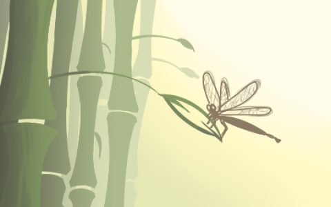 家居招财风水：阳台养什么植物最旺财运？
