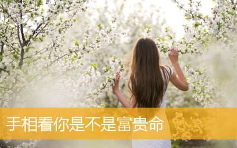 手相看你是不是富贵命