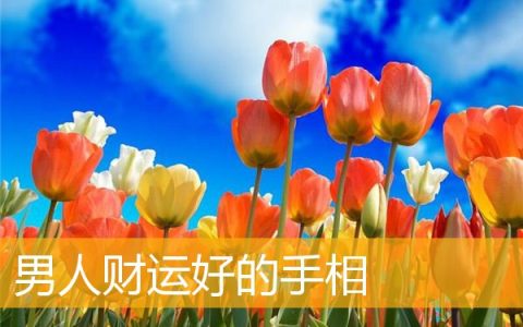 男人财运好的手相