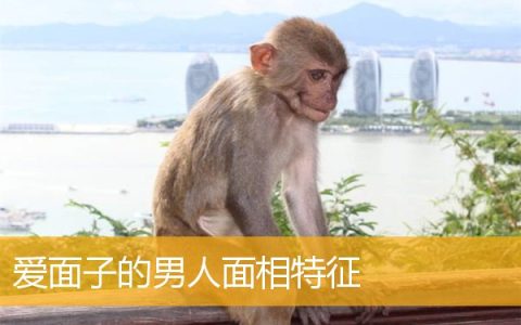 爱面子的男人面相特征