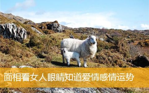 面相看女人眼睛知道爱情感情运势