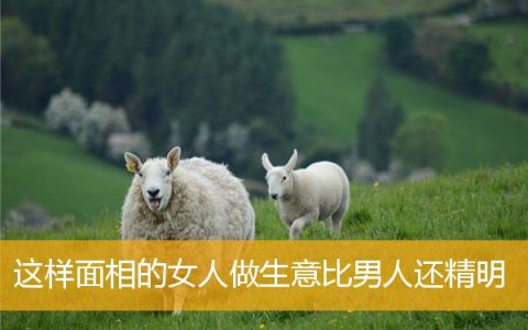 这样面相的女人做生意比男人还精明
