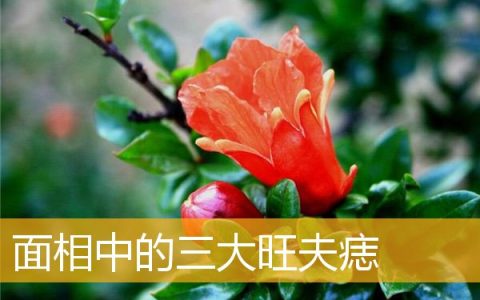 面相中的三大旺夫痣