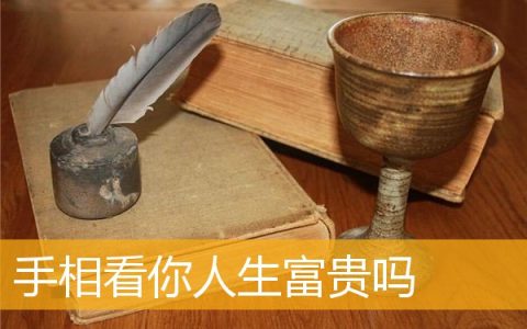 手相看你人生富贵吗