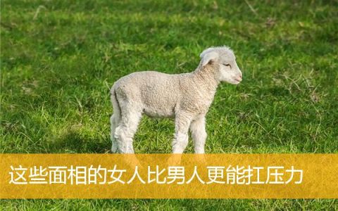 这些面相的女人比男人更能扛压力