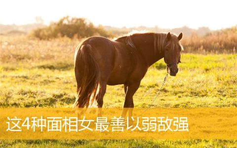 这4种面相女最善以弱敌强
