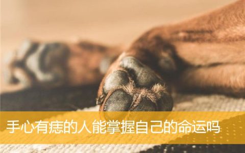 手心有痣的人能掌握自己的命运吗
