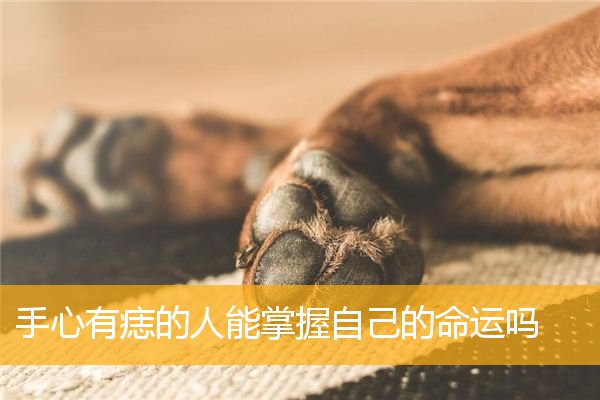 手心有痣的人能掌握自己的命运吗