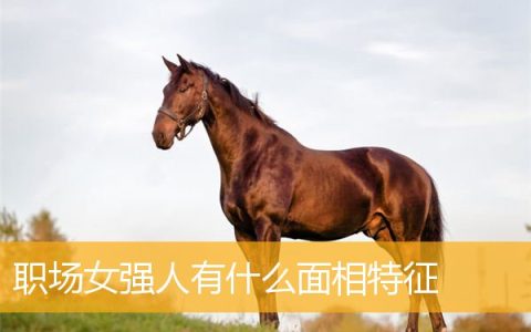 职场女强人有什么面相特征