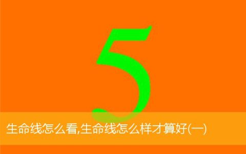 生命线怎么看,生命线怎么样才算好(一)