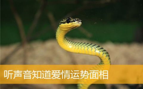 听声音知道爱情运势面相