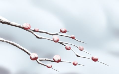 打工或开店：需要讲究啥风水