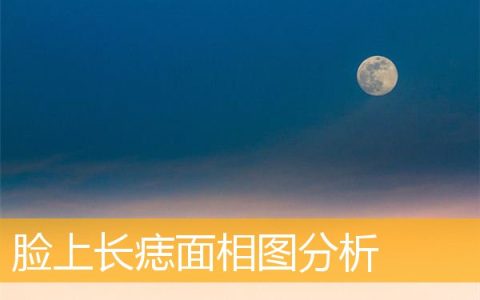 脸上长痣面相图分析