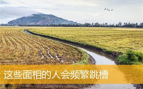 这些面相的人会频繁跳槽