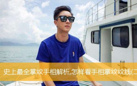 史上最全掌纹手相解析,怎样看手相掌纹纹线(二)