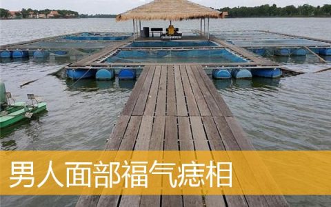 男人面部福气痣相