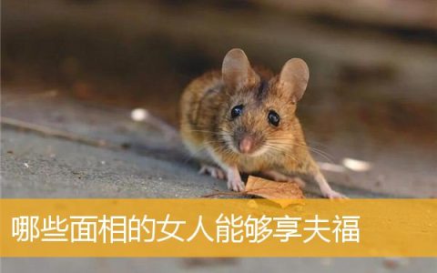 哪些面相的女人能够享夫福