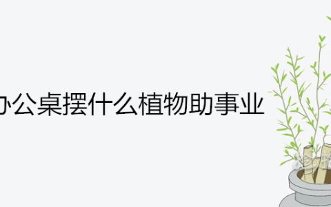 办公桌摆什么植物助事业运和财运