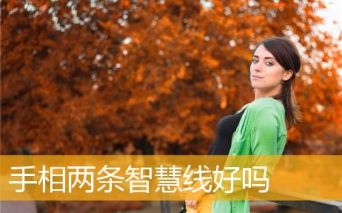 手相两条智慧线好吗