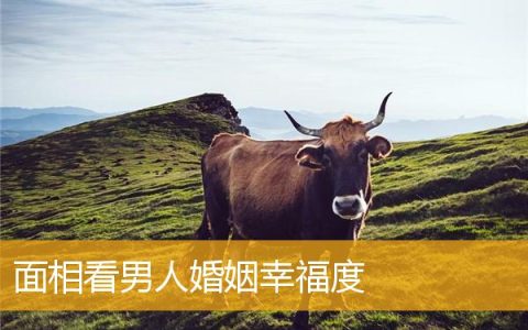 面相看男人婚姻幸福度