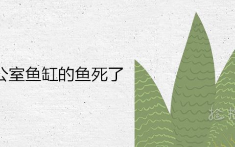 办公室鱼缸的鱼死了预示什么 风水上有什么说法