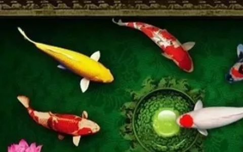 五种破财的家居风水，你知道吗？