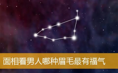 面相看男人哪种眉毛最有福气