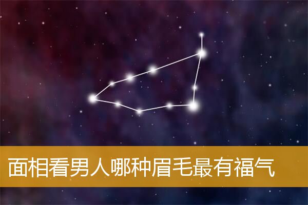 面相看男人哪种眉毛最有福气