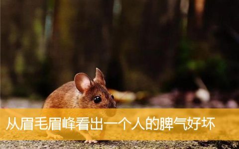 从眉毛眉峰看出一个人的脾气好坏
