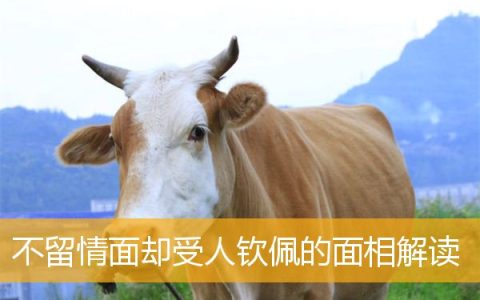 不留情面却受人钦佩的面相解读