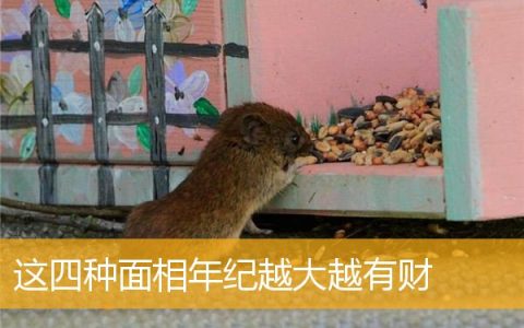 这四种面相年纪越大越有财