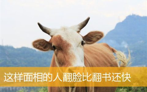 这样面相的人翻脸比翻书还快